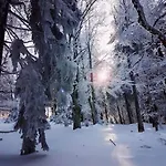 Turmfalke 2-zimmer-appartement Mit Sauna Und Schwimmbad *