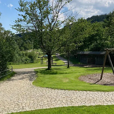 Turmfalke 2-zimmer-appartement Mit Sauna Und Schwimmbad *