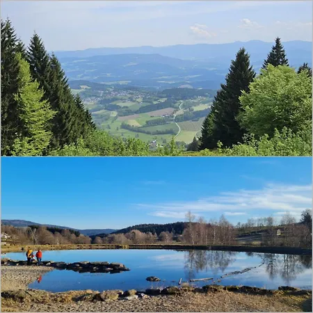 Turmfalke 2-zimmer-appartement Mit Sauna Und Schwimmbad ザンクト・エングルマール