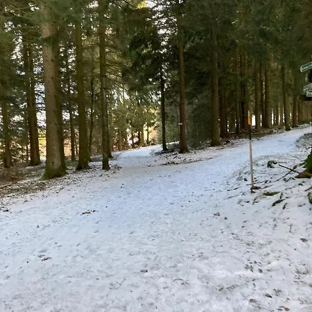 Apartment Hecht Ferienvermietung - Turmfalke Mit Sauna Und Schwimmbad