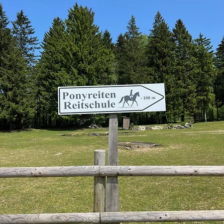 Hecht Ferienvermietung - Turmfalke Mit Sauna Und Schwimmbad Apartment