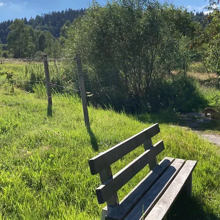 Apartment Hecht Ferienvermietung - Turmfalke Mit Sauna Und Schwimmbad