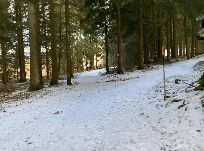 아파트 Hecht Ferienvermietung - Turmfalke 2-zimmer-appartement Mit Sauna Und Schwimmbad