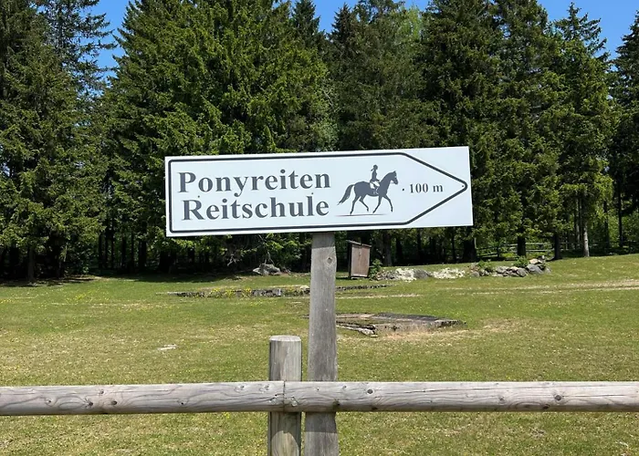 Hecht Ferienvermietung - Turmfalke 2-zimmer-appartement Mit Sauna Und Schwimmbad 아파트