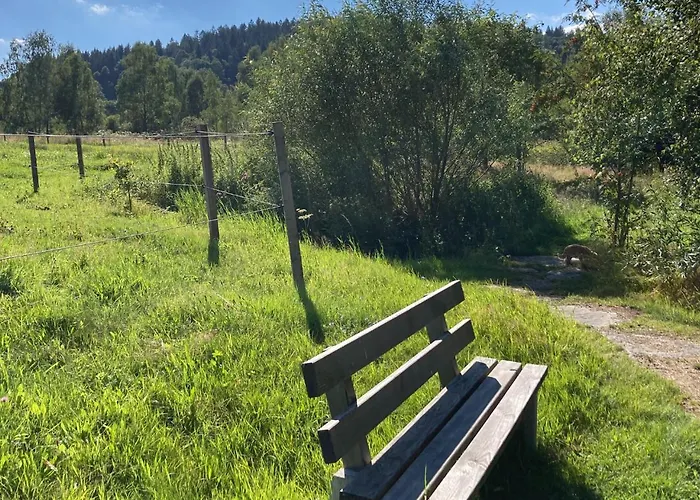 Appartamento Turmfalke 2-zimmer-appartement Mit Sauna Und Schwimmbad